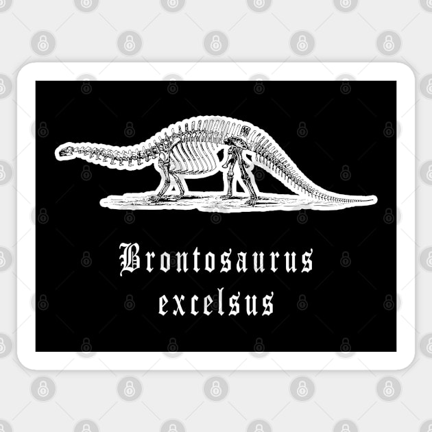 🦖 Fossil Skeleton of a Brontosaurus excelsus Dinosaur Sticker by Pixoplanet